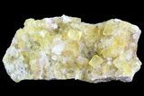 Lustrous Yellow Cubic Fluorite/Quartz Crystal Cluster - Morocco #84299-1